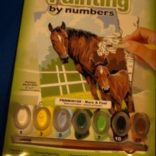 Peinture au numéro cheval