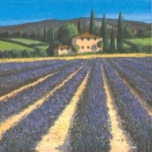Serviette papier Provence et lavande 33 cm X 33 cm 3 plis