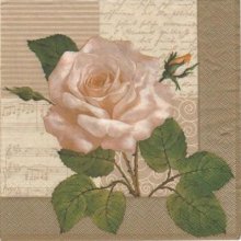 Serviette motif rose et bouton 33cm X 33 cm 3 plis