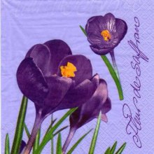 Serviette papier fleurs de safran 33 cm X 33 cm 3 plis
