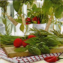 Serviette papier tomate et piment de 33 cm X 33 cm 3 plis