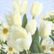 Serviette papier fleurs tulipes blanche 33 cm X 33 cm 3 plis